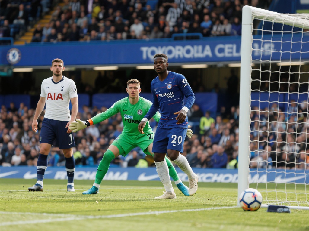 与欧洲杯不 与欧洲杯不